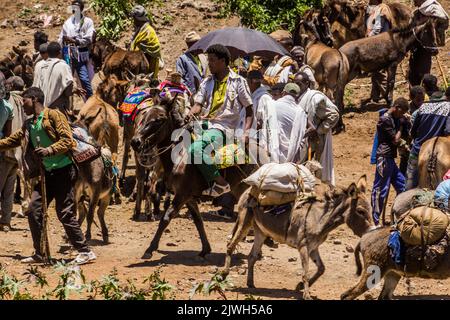 LALIBELA, ETIOPIA - 30 MARZO 2019: Animali al mercato del sabato a Lalibela, Etiopia Foto Stock