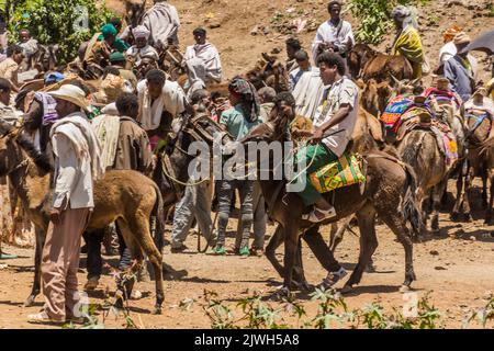 LALIBELA, ETIOPIA - 30 MARZO 2019: Animali al mercato del sabato a Lalibela, Etiopia Foto Stock