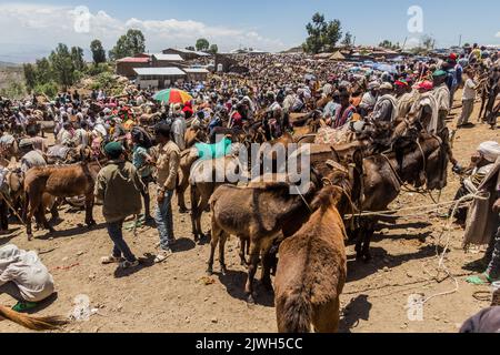 LALIBELA, ETIOPIA - 30 MARZO 2019: Asini al mercato di sabato a Lalibela, Etiopia Foto Stock