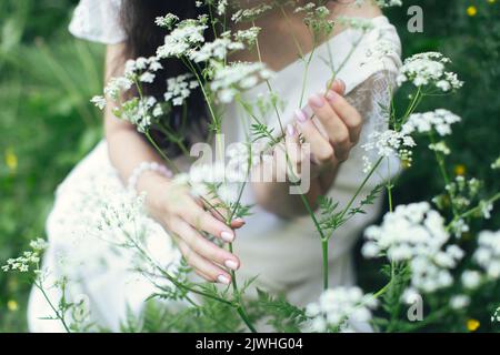 Una donna in un vestito bianco circondato dalla natura e fiori bianchi di Aegopodium podagraria. Vista frontale. Foto Stock