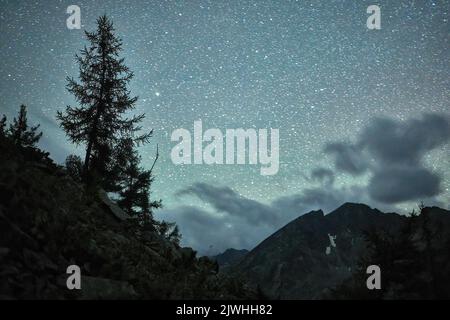 Katunsky riserva, Russia. 03rd ago, 2022. Cielo stellato sopra la riserva di Katunsky nelle montagne di Altai appena quattro ore in aereo da Mosca e vi trovate in un mondo completamente diverso: Il mondo delle montagne giovani maestose, le valli verdi collinari ampie, le foreste di cedro, i fiumi turbolenti e i laghi glaciali. Altai! (Foto di Mihail Siergiejevicz/SOPA Images/Sipa USA) Credit: Sipa USA/Alamy Live News Foto Stock