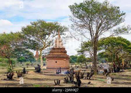 Bagan, Myanmar. 13th ago, 2022. Un uomo taglia e brucia gli alberi di fronte ad una pagoda a Bagan per liberare la vista della struttura. 'Città di mille pagode' è ciò che Bagan è chiamato. Il sito patrimonio dell'umanità è considerato uno dei più importanti siti di templi in tutto il sud-est asiatico. Per molti in Myanmar, il turismo era la principale fonte di reddito. Dopo il colpo di stato militare, nessuno viene più - e la disperazione è grande. (A dpa: Pagode orfane a Bagan: Myanmar e la fine del sogno turistico) Credit: Sai Nyi Phyu/-/dpa/Alamy Live News Foto Stock