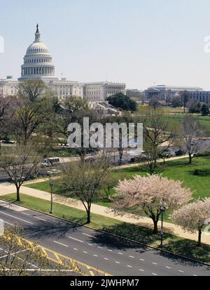 Capitol Building Washington DC USA. Vista rialzata del National Mall, dell'edificio governativo e degli alberi di ciliegio in fiore. Foto Stock