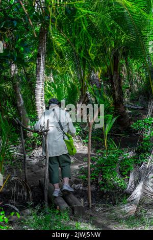 Persona singola che attraversa un piccolo ponte di tronchi sulla pista pedonale attraverso l'isola di Nanuya Lailai. Isola di Yasawa, Figi Foto Stock