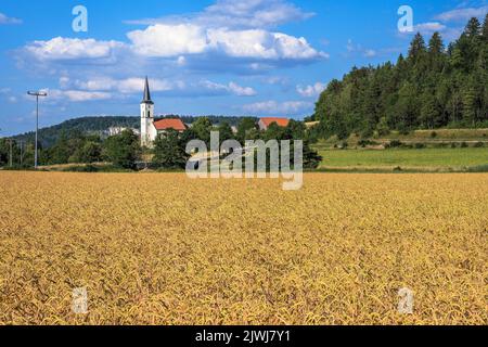 Idilliaco chiesa del villaggio Krichanhausen vicino Beilngries Foto Stock