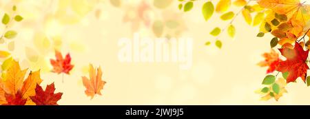 Banner di autunno sfondo con foglie di caduta colorate contro un bel bokeh sfondo. Ideale per il giorno del Ringraziamento o per Halloween con Copy Space Foto Stock