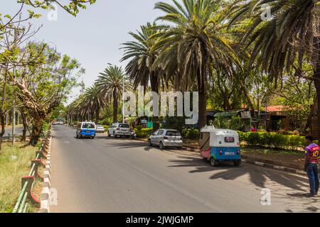 BAHIR DAR, ETIOPIA - 2 APRILE 2019: Viale costeggiato da palme a Bahir Dar, Etiopia Foto Stock