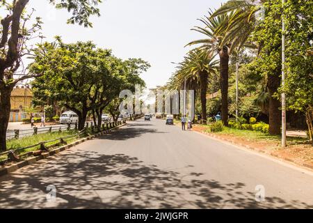 BAHIR DAR, ETIOPIA - 2 APRILE 2019: Viale costeggiato da palme a Bahir Dar, Etiopia Foto Stock