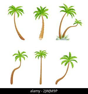 Collezione di alberi verdi di palma, set di piante esotiche Illustrazione Vettoriale