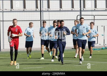 Brugge (Belgio), 06 settembre 2022, i giocatori del Club sono raffigurati nel corso di una sessione di allenamento della squadra di calcio belga Club Brugge KV, martedì 06 settembre 2022 a Brugge, in preparazione della partita di domani contro il tedesco Bayer 04 Leverkusen, il giorno di apertura del palcoscenico del gruppo UEFA Champions League. FOTO DI BELGA BRUNO FAHY Foto Stock