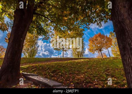 Autunno e fogliame a Lucca. Anciet città mura parco con foglie autunnali Foto Stock