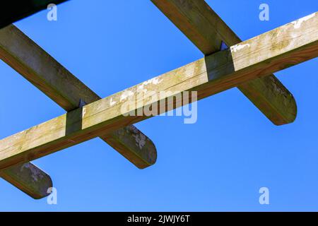 Guardando verso l'alto le travi di legno di Pergola su uno sfondo blu cielo Foto Stock