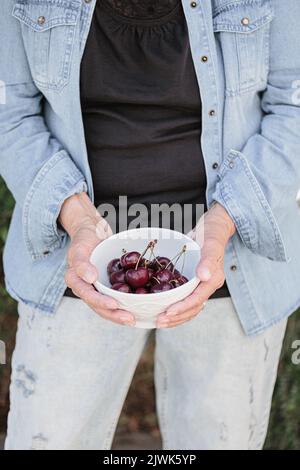 Mani di una donna anziana che tiene una ciotola di ciliegie mature Foto Stock