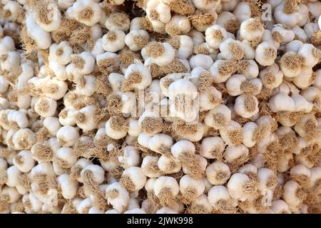 fresco organico garlics nel mercato Foto Stock