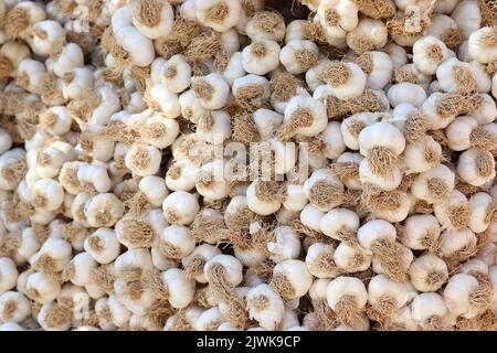 fresco organico garlics nel mercato Foto Stock