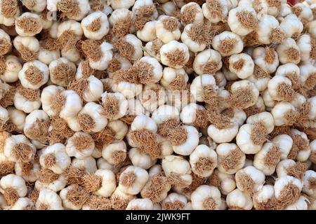 fresco organico garlics nel mercato Foto Stock