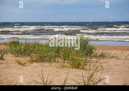 Dune di sabbia sulla spiaggia, Mar Baltico Foto Stock