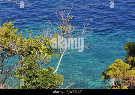 Isola remota Bisevo in Croazia Foto Stock