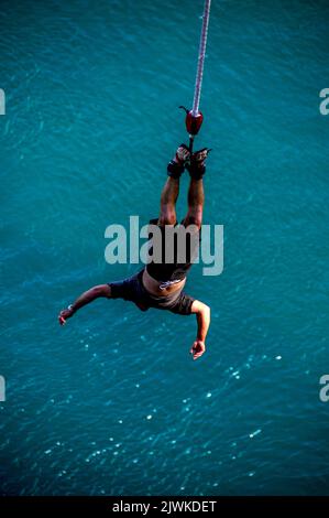 Un ponticello di bungy collegato con un cavo elastico, tuffa 47 metri sotto nel fiume di Waikato (il più lungo della Nuova Zelanda) dal nuovo Hanger di scogliera di Taupo Foto Stock