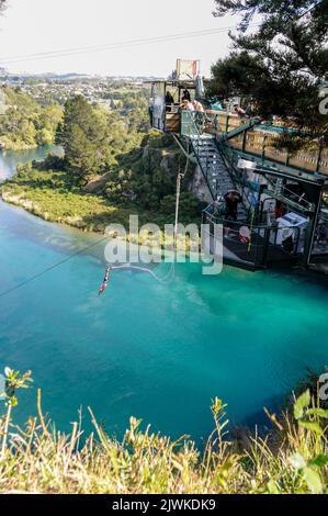 Un ponticello di bungy collegato con un cavo elastico, tuffa 47 metri sotto nel fiume di Waikato (il più lungo della Nuova Zelanda) dal nuovo Hanger di scogliera di Taupo Foto Stock