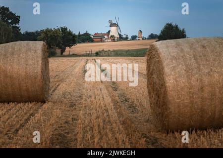 Balle di paglia in un campo al tramonto Foto Stock