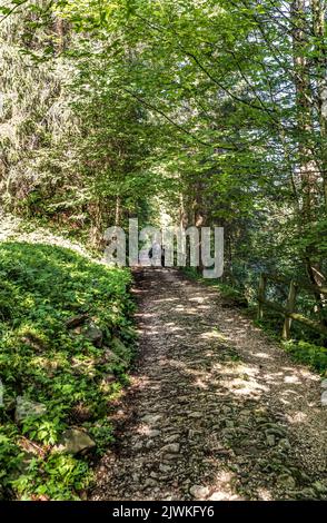 Italia Veneto canale d'Agordo - la Via Crucis di Papa Luciani Foto Stock