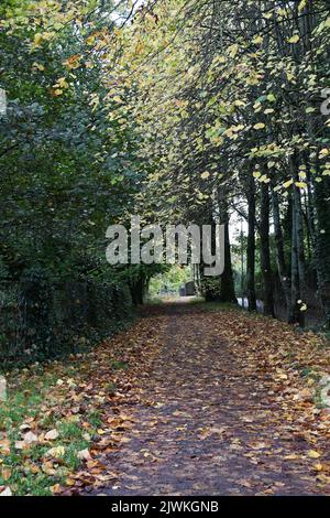 Canal Walk, Kilkenny, Irlanda Foto Stock