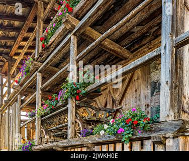 Italia Veneto canale d'Agordo - Tabià Foto Stock