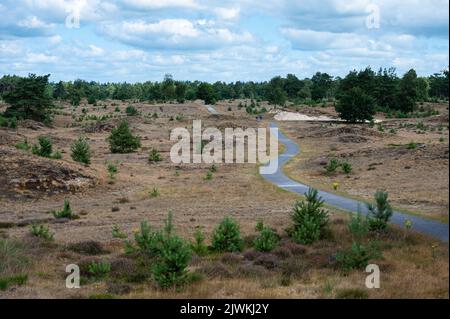 Appelscha, Drenthe, Paesi Bassi - 07 20 22 - Vista sulla strada attraverso le colline di sabbia del parco nazionale di Drents-Friese Wold Foto Stock