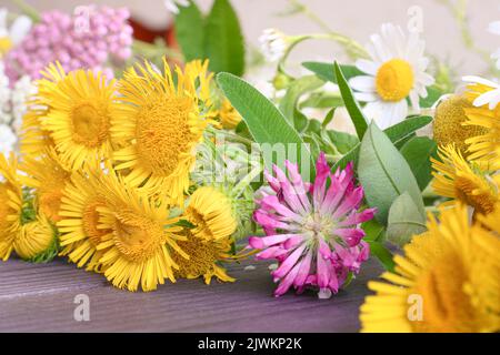 Sfondo floreale festivo, un bouquet di fiori gialli campo, chiodo di garofano, margherite. Foto Stock