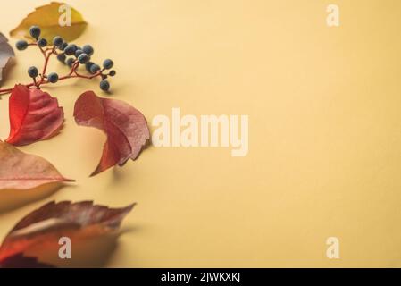 Foglie autunnali su sfondo giallo. Messa a fuoco selettiva. Foto Stock