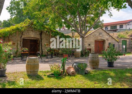 Vecchia fila di cantine tradizionali a Purbach Austria vicino al lago Neusiedl Foto Stock