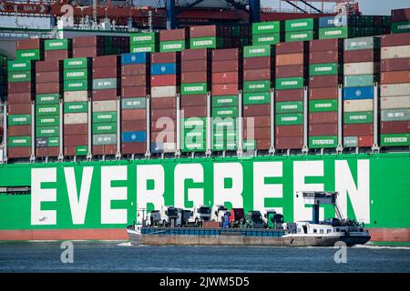 Europoort, porto di Rotterdam, nave portacontainer Evergreen Reederei Ever Ace, attualmente il terzo più grande mercantile al mondo, con un massimo di 24 unità, Foto Stock