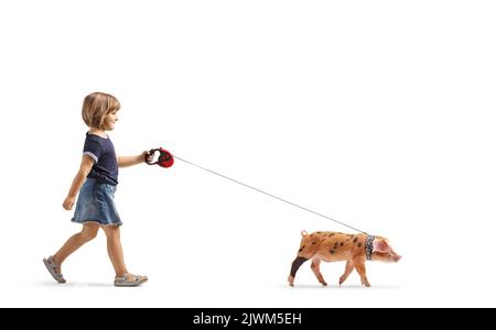 Profilo a tutta lunghezza girato di una bambina che cammina un maiale su un piombo isolato su sfondo bianco Foto Stock