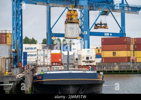 Europoort, porto di Rotterdam, Waalhaven, carico e scarico di container su navi da carico interne, per il trasporto in avanti, Paesi Bassi, Foto Stock