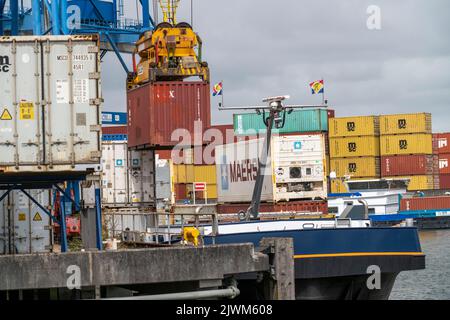 Europoort, porto di Rotterdam, Waalhaven, carico e scarico di container su navi da carico interne, per il trasporto in avanti, Paesi Bassi, Foto Stock