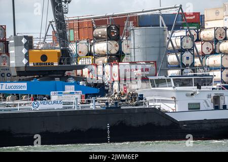 Europoort, Pernis, stoccaggio di contenitori a Rotterdam-Botlek, contenitori e liquidi standard TEU, contenitori per serbatoi chimici, sul canale Oude Maas, tanke Foto Stock