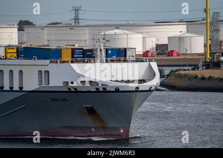 Traffico marittimo sul Maas, altezza Hoek van Holland, traghetto Opaline Roro nel Calandkanaal, presso l'Ausfahrt, Foto Stock