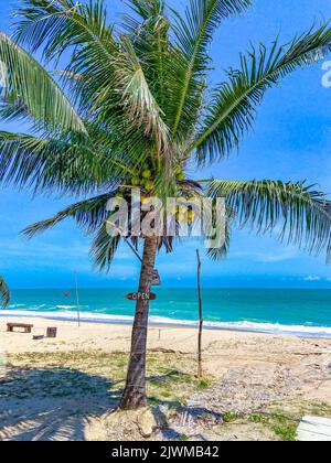 Hat Khanom spiaggia in Mu Koh Thale Tai Parco Nazionale, in Nakhon si Thammarat, Thailandia Foto Stock