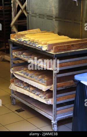 Interno panetteria francese. Baguette su un carrello, impasto lasciato a lievitare. Foto Stock