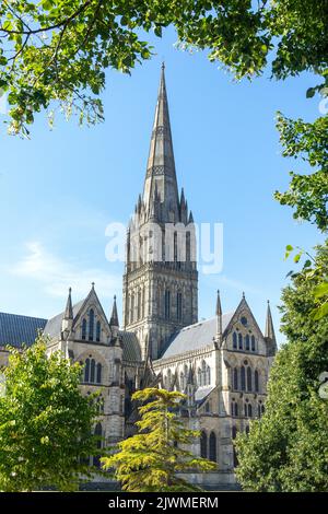 Lato est della cattedrale di Salisbury, Cathedral Close, Salisbury, Wiltshire, Inghilterra, Regno Unito Foto Stock