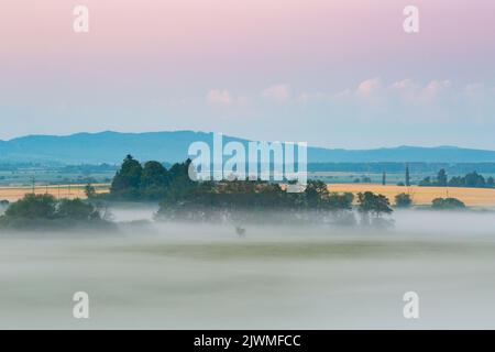 Nebbia terrestre nelle pianure del fiume Turiec, Slovacchia. Foto Stock