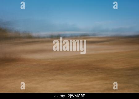 Campo dorato astratto con alberi sullo sfondo Foto Stock