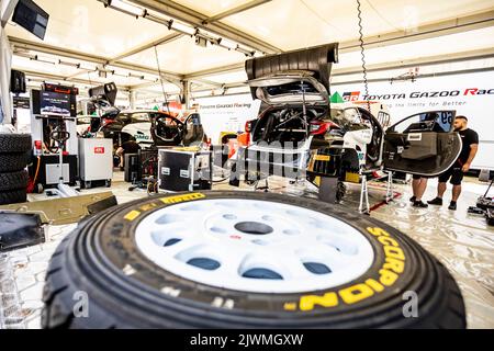 Ambiente durante il Rally dell'Acropoli Grecia 2022, 10th° round del WRC World Rally Car Championship 2022, dal 8 al 11 settembre 2022 a Lamia, Grecia - Foto Nikos Katikis / DPPI Foto Stock