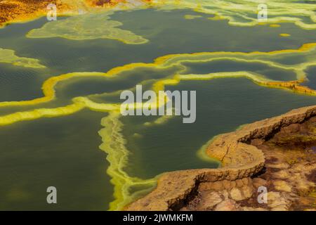 Particolare dei colorati laghi solforici nell'area vulcanica di Dallol, depressione di Danakil, Etiopia Foto Stock