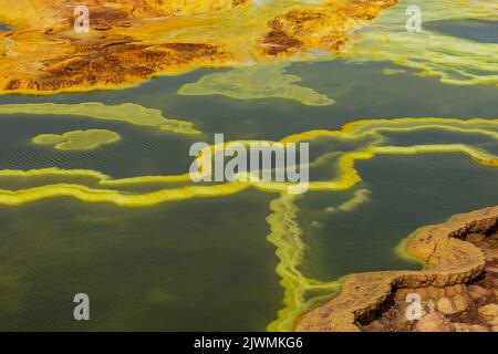 Particolare dei colorati laghi solforici nell'area vulcanica di Dallol, depressione di Danakil, Etiopia Foto Stock