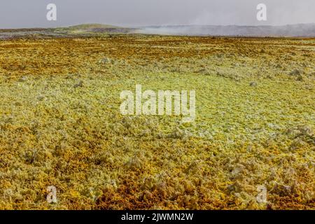 Bizzare Dalol paesaggio vulcanico nella depressione Danakil, Etiopia. Foto Stock