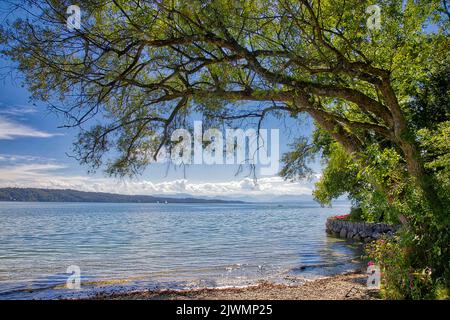 DE - BAVIERA: Tranquillità lungo il lago Starnberg a Feldafing, Oberbayern Foto Stock