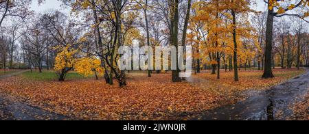 autunno nel bellissimo parco Foto Stock