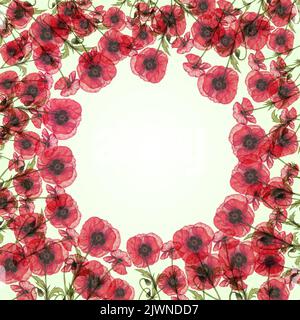 Cartolina 1x1, banner incorniciato con composizione botanica di fiori e foglie semitrasparenti rossi. Spazio per il testo. Disegno a matita a mano. Papaveri, ON Foto Stock